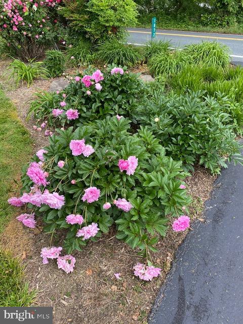 WHITEHALL BEACH - Residential