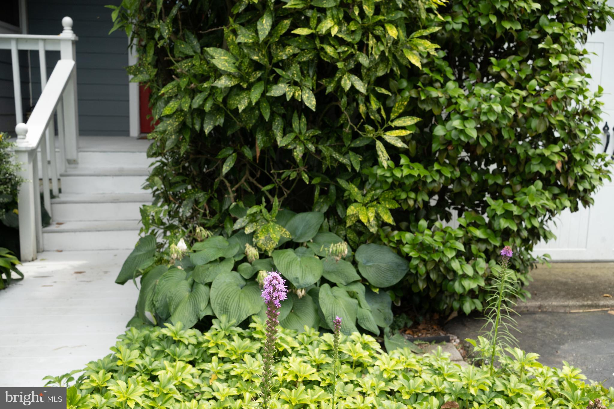 WHITEHALL BEACH - Residential