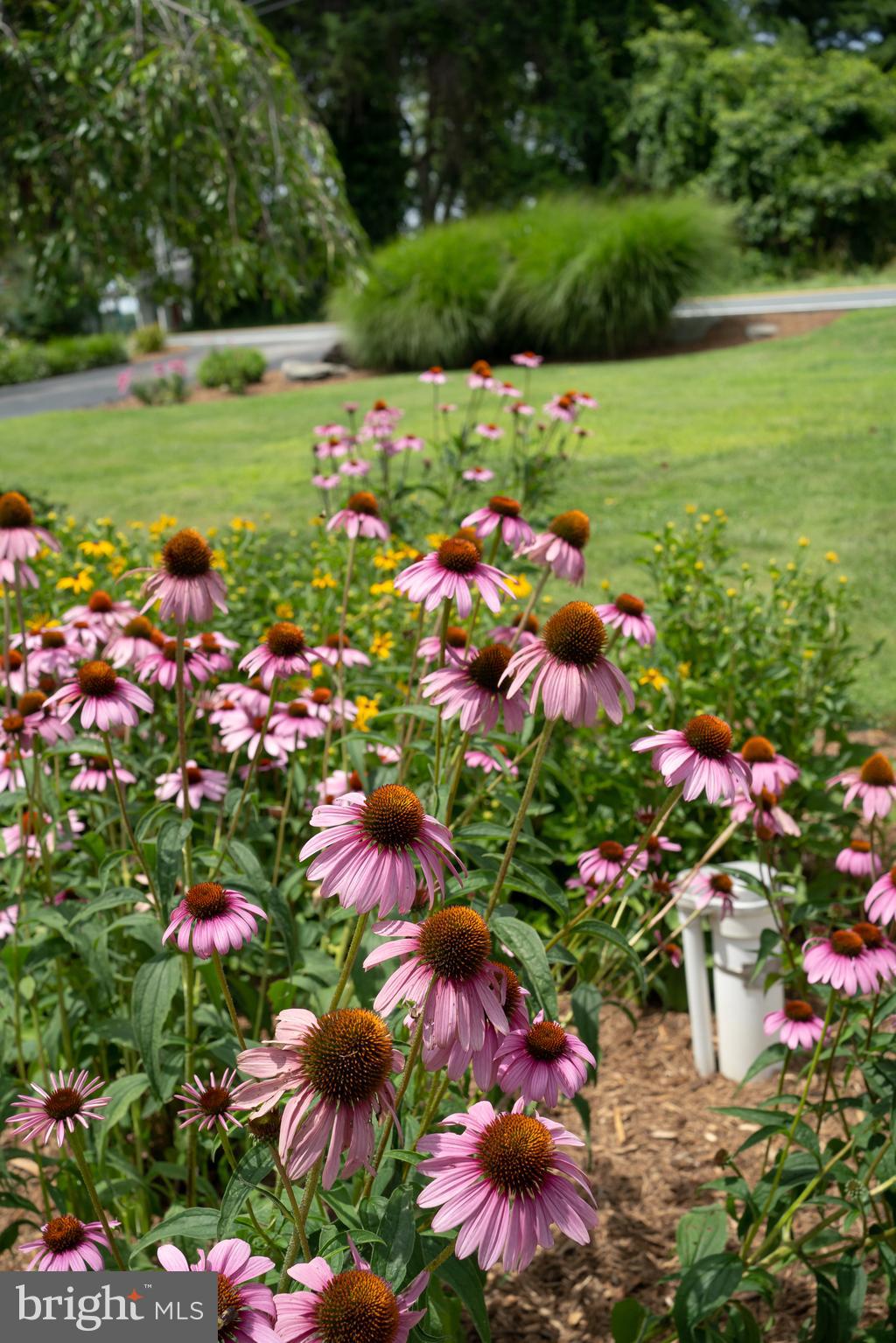 WHITEHALL BEACH - Residential