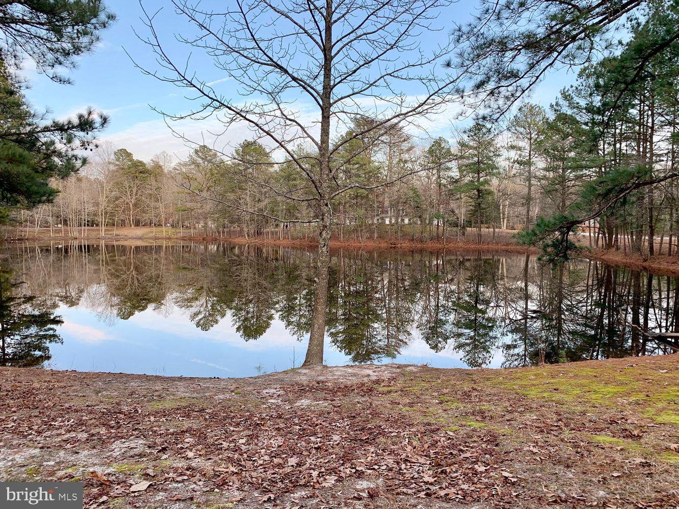 0 PINE LAKE LOT B11