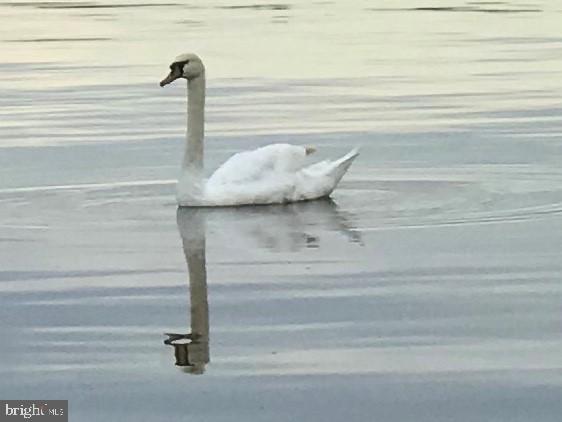 POTOMAC SHORES - Land