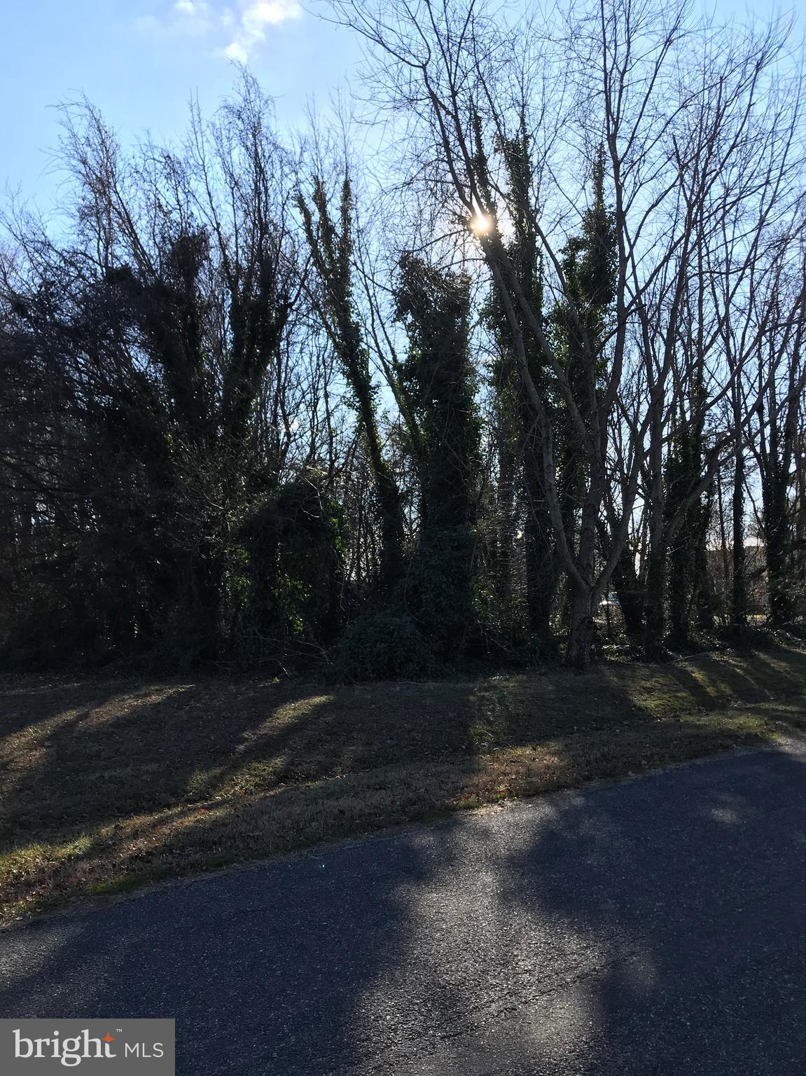 POTOMAC SHORES - Land