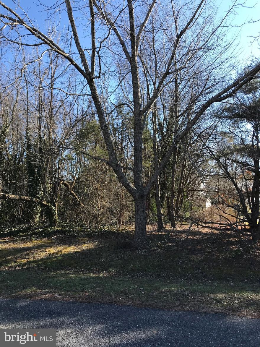 Lot located in a lovely area of Potomac Shores. There is a limited water view down the street dependent on where you site the home. Tap Fee has not been paid. Check with the county regarding water and sewer. Close to the sandy beaches, restaurants and fun in the golf cart town of Colonial Beach. This is the perfect place to build your second home or full time residence.