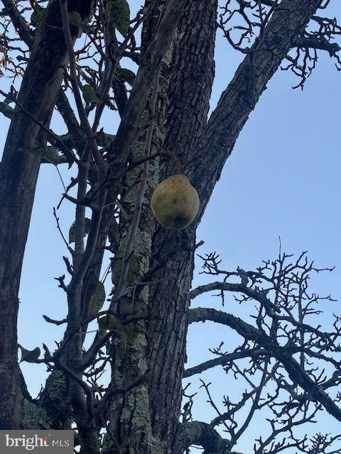 LOCHEARN - Residential