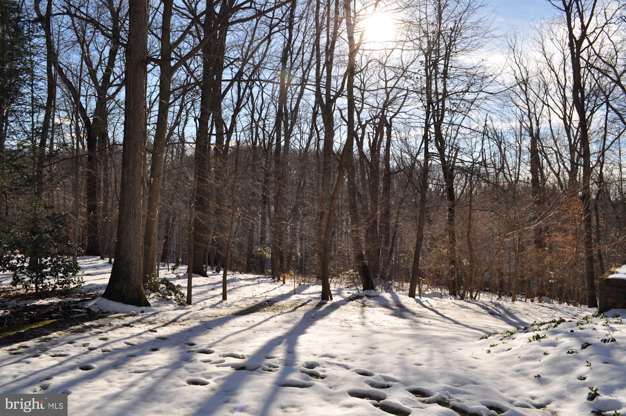 POTOMAC VIEW ESTATES - Residential