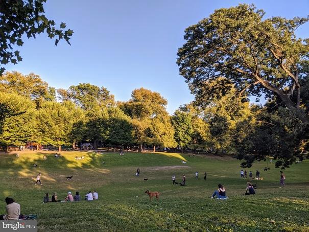 UNIVERSITY CITY - Residential Lease