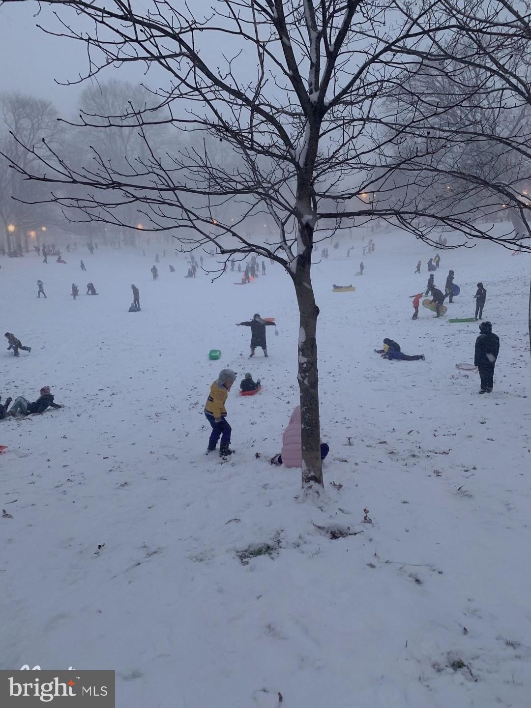 UNIVERSITY CITY - Residential Lease