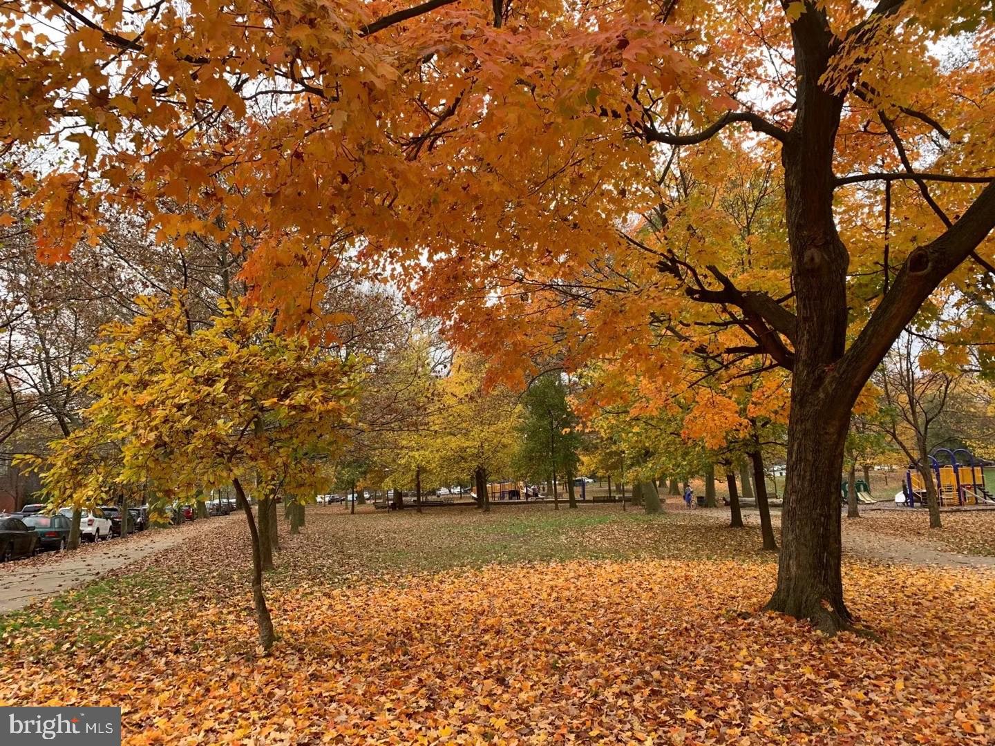 UNIVERSITY CITY - Residential Lease