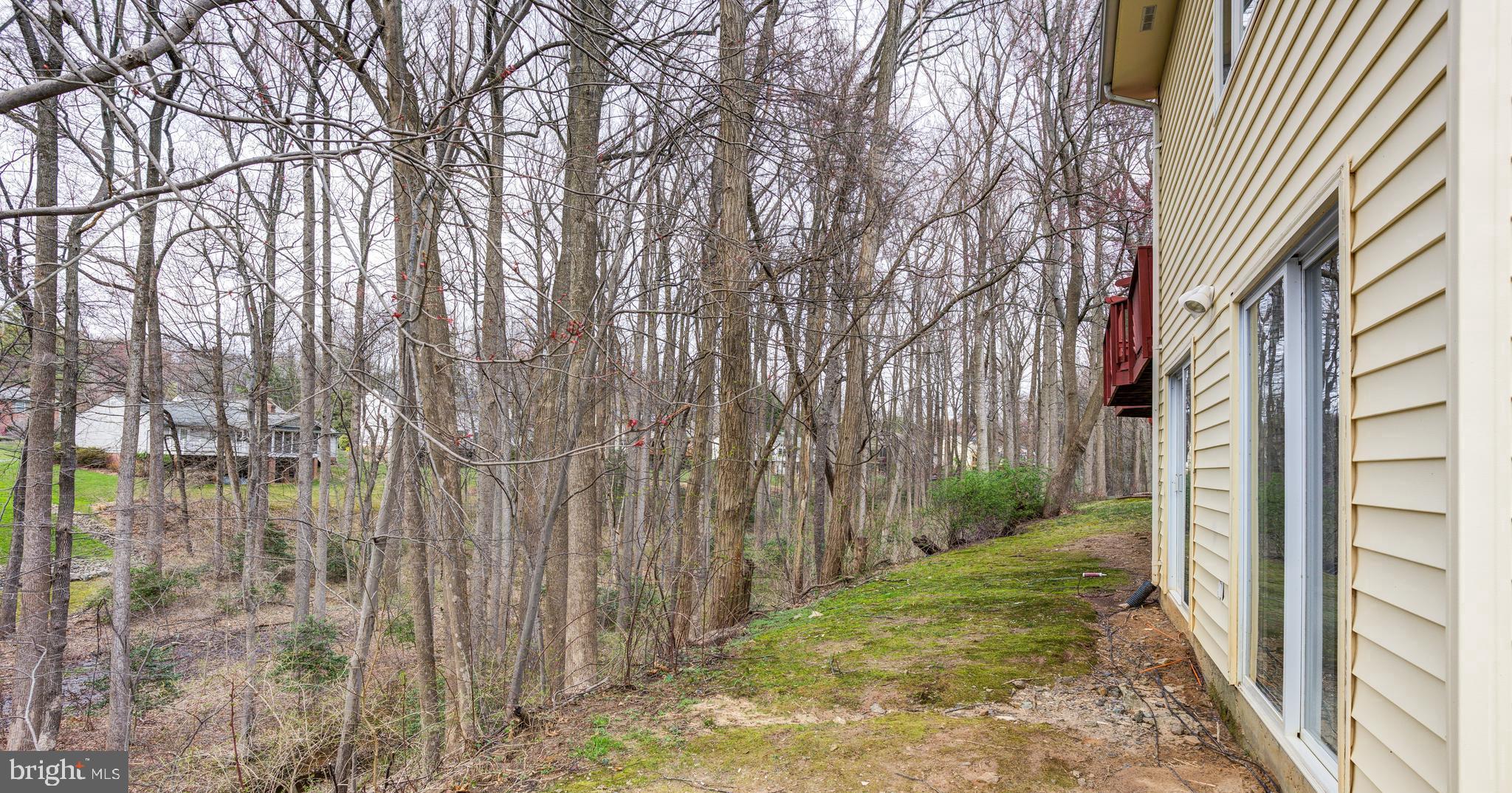 SNOWDENS MILL - Residential