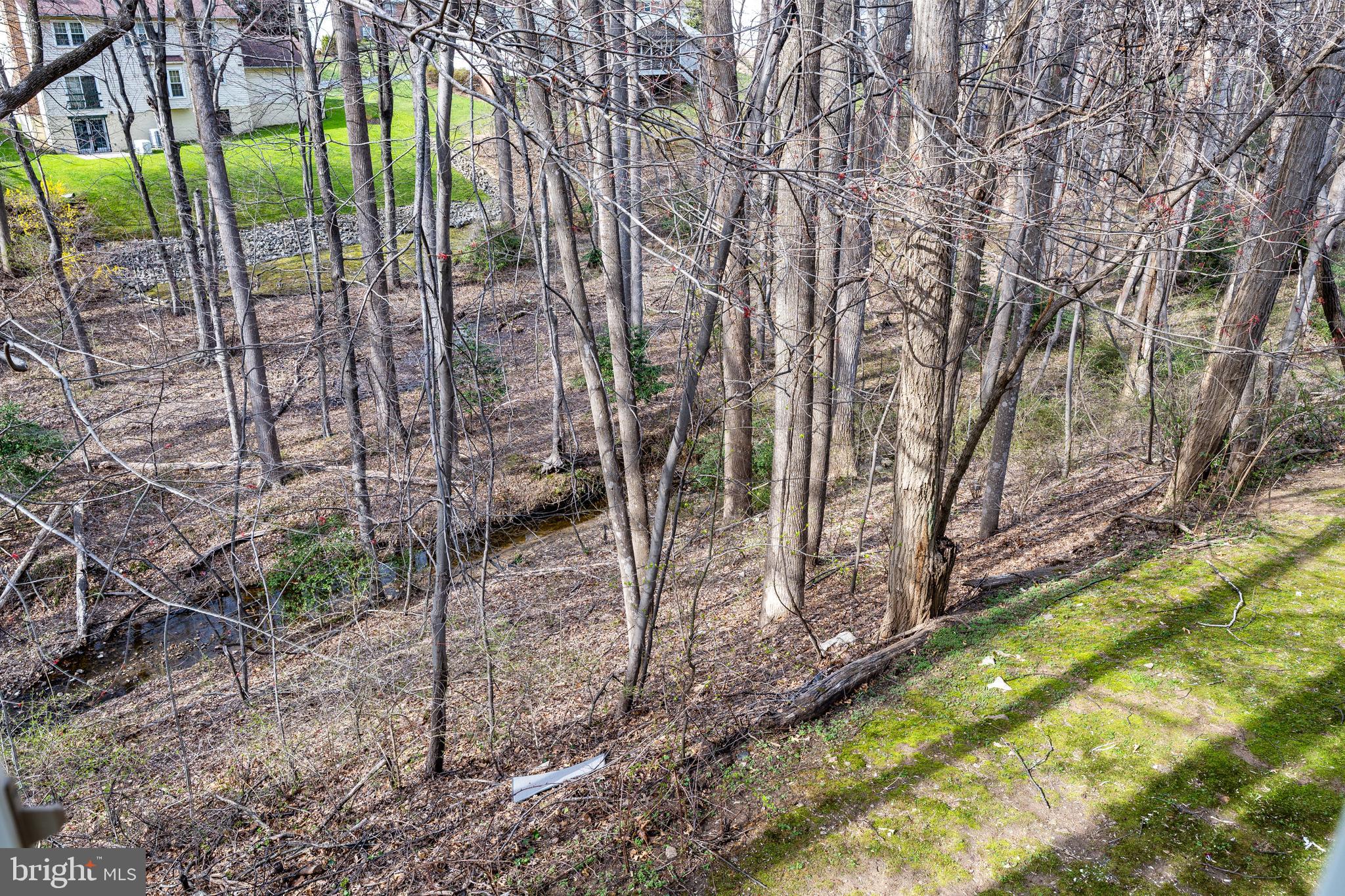 SNOWDENS MILL - Residential