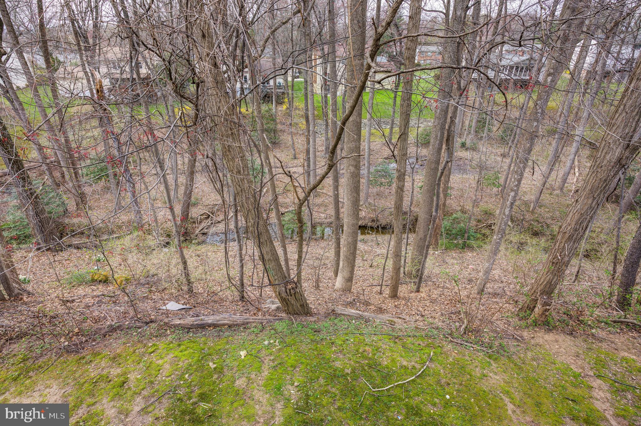 SNOWDENS MILL - Residential