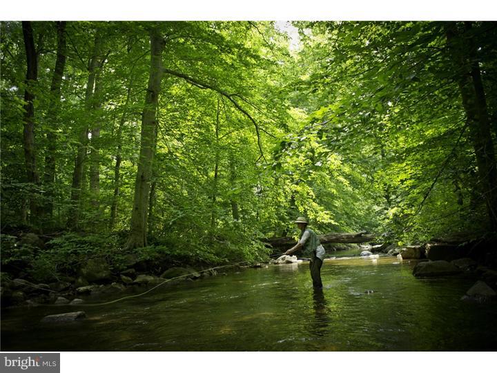 RADNOR HUNT - Residential