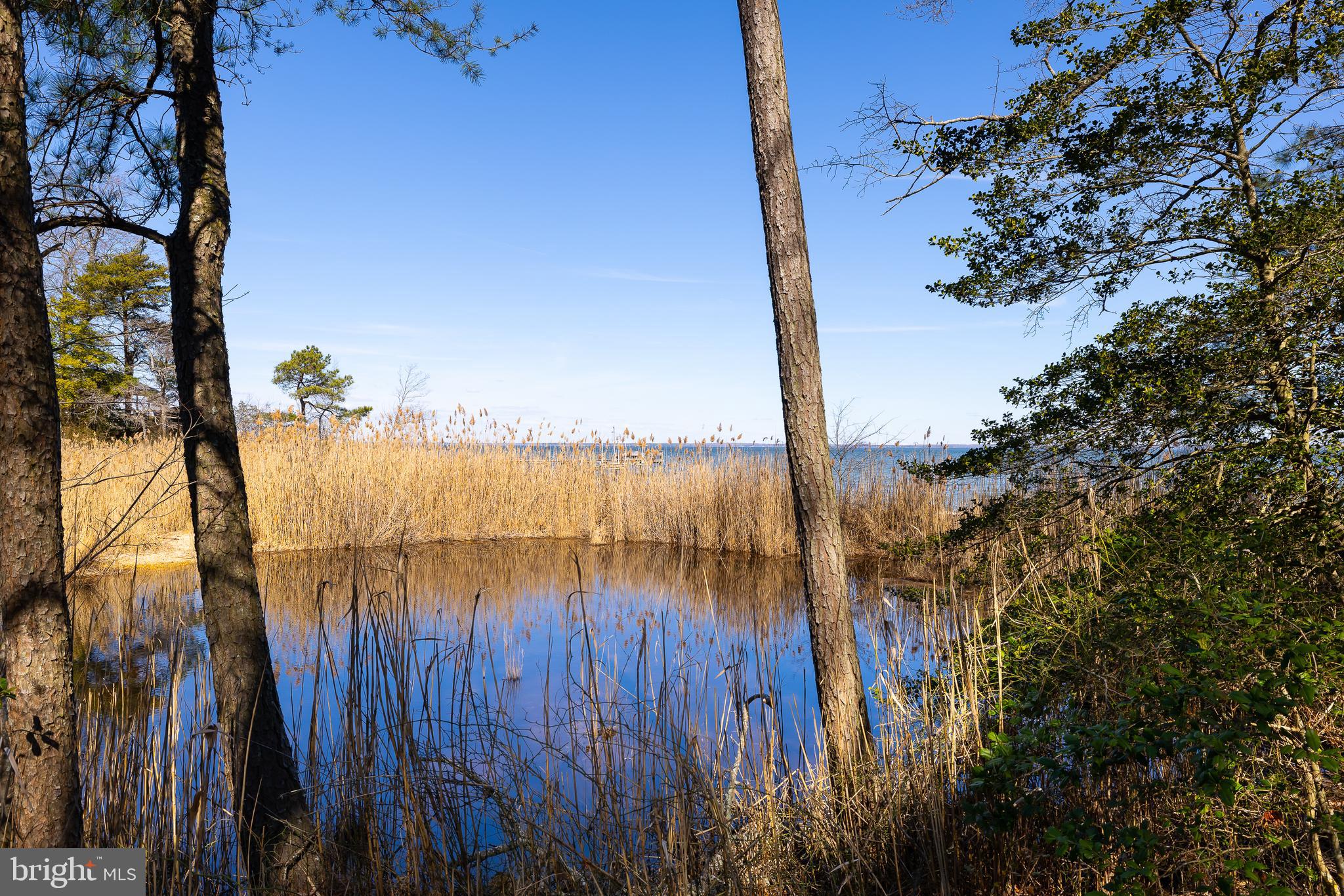 CABIN POINT / GLEBE HARBOR - Residential