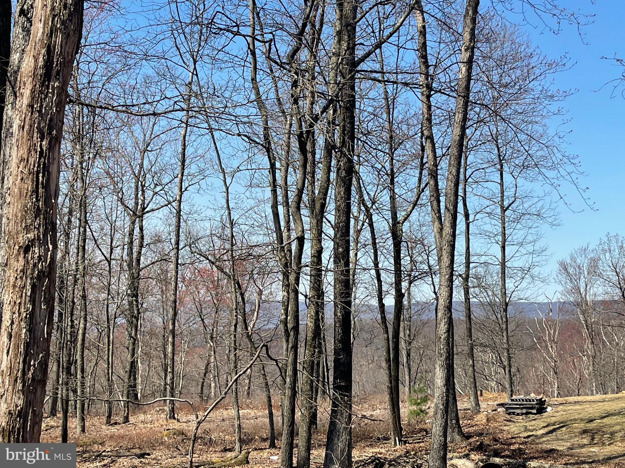 SMALL BUT MIGHTY!!! What this lot lacks in size you gain in VIEWS & PRIVACY! BUILD YOUR DREAM HOME on this .3 acre level lot atop the COVE VILLAGE COMMUNITY! Clear the back of your lot to expose beautiful panoramic views. EVEN BETTER, THIS LOT IS BORDERED BY HUNDREDS OF ACRES OF COMMUNITY RECREATIONAL LAND, MEANING THE ONE NEIGHBOR YOU HAVE IS ALL THAT YOU'LL HAVE!! Whether you've been imagining building a second home or just waiting to build that forever home, WAIT NO MORE! The Cove Village Community is situated in the foothills of the Poconos and only 1 1/2 hours to New York, With easy access to I-81 your commute to Hazleton, Wilkes Barre, or Scranton is a breeze. Bring your own builder and let's get started. Another cost-saving perc of the community is having public water and sewer already in place and ready for you to connect through Aqua of Pa. 750 acres of unoccupied prime hunting, ATV, and snowmobile riding land surround the residential portion of Cove Village and is allocated only for the residents of the community and their guests! Driving through the community, the peace and tranquility will envelop you. At any given moment the deer, turkey, and birds will entertain you in your own backyard. Homes within the community vary from rustic cabins and chalets to traditional ranch or two-story homes and even exquisite new construction or dreamy mountain log homes. There really is something for everyone. The approximately 278 acres of residential homes and lots are occupied by full-time residents, part-time vacation homes, and even some snowbird second homes. Cove Village offers an abundance of amenities including a swimming pool, stocked fishing lake, a basketball court, tennis courts, a volleyball court, 2 playgrounds, a baseball field, ATV paths, hunting, a mini golf course, walking paths, and year-round Community events. I can't forget to mention the beautiful lodge ideal to rent for family gatherings. This lot and community just might be exactly what you've been looking for. Air B and B are not permitted. Camping on vacant lots is not permitted. Mobile homes are not permitted. The minimum square footage when building is 1400 square feet. The community maintains the roads and snow removal. Trash collection is also provided. An appointment is required to view due to the gated community. Call to schedule your tour today!