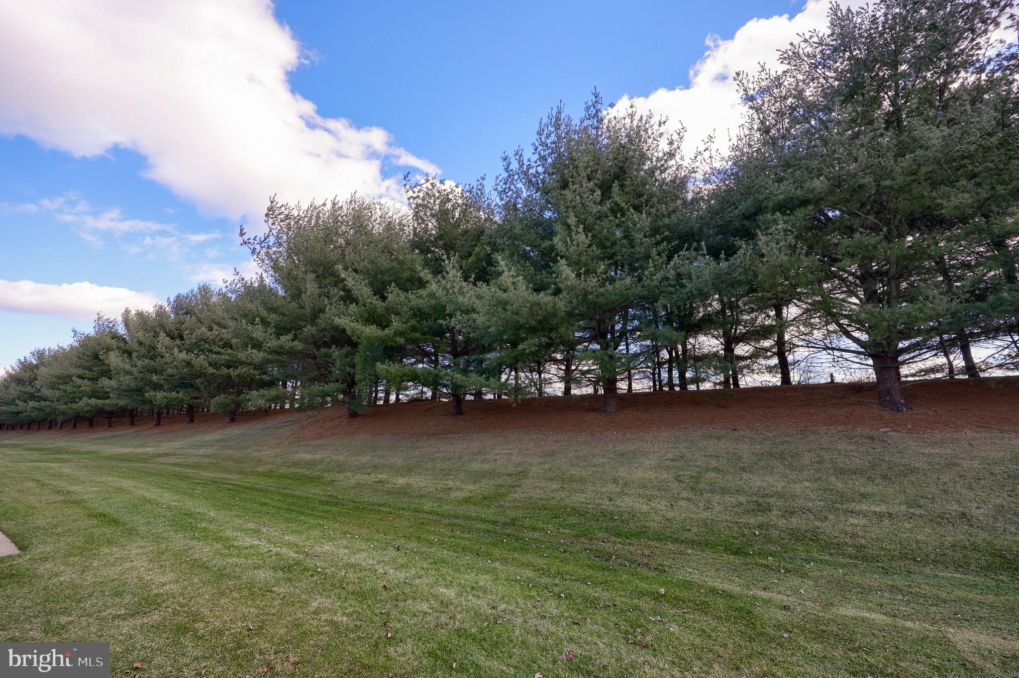 LONGSTOWN VILLAGE - Residential