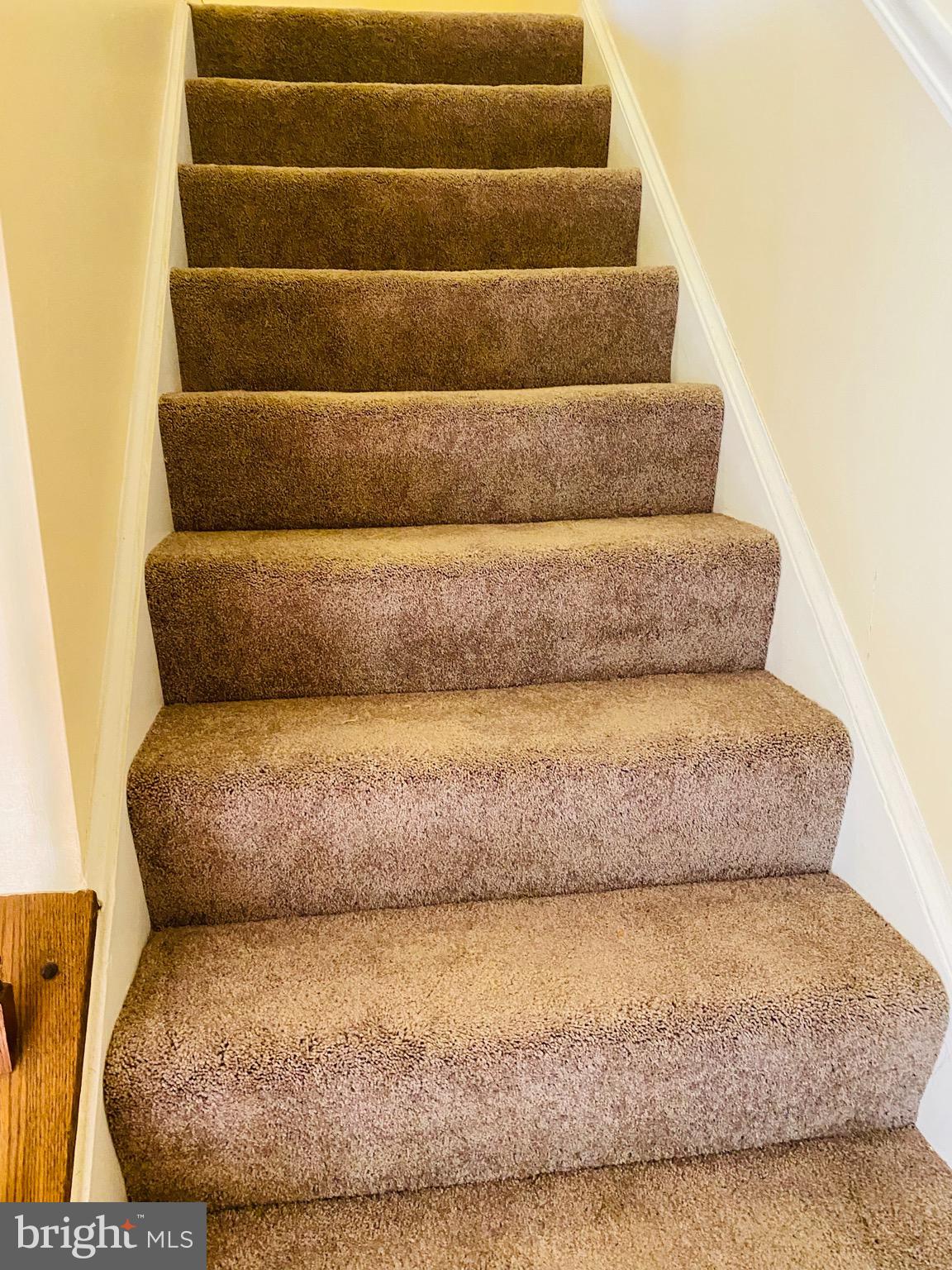 DERWOOD STATION - Residential Lease