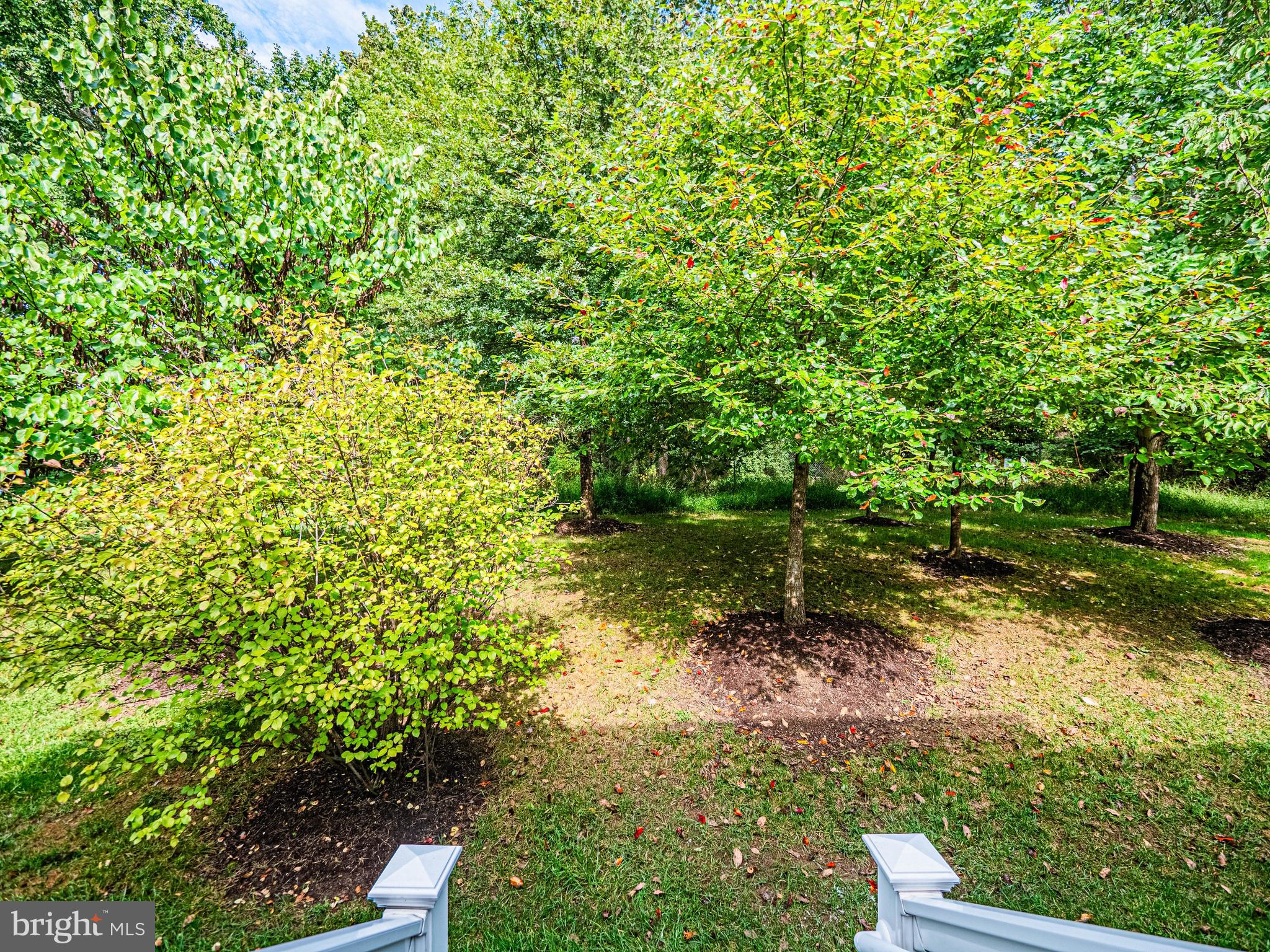 RAINCLIFFE CENTER - Residential