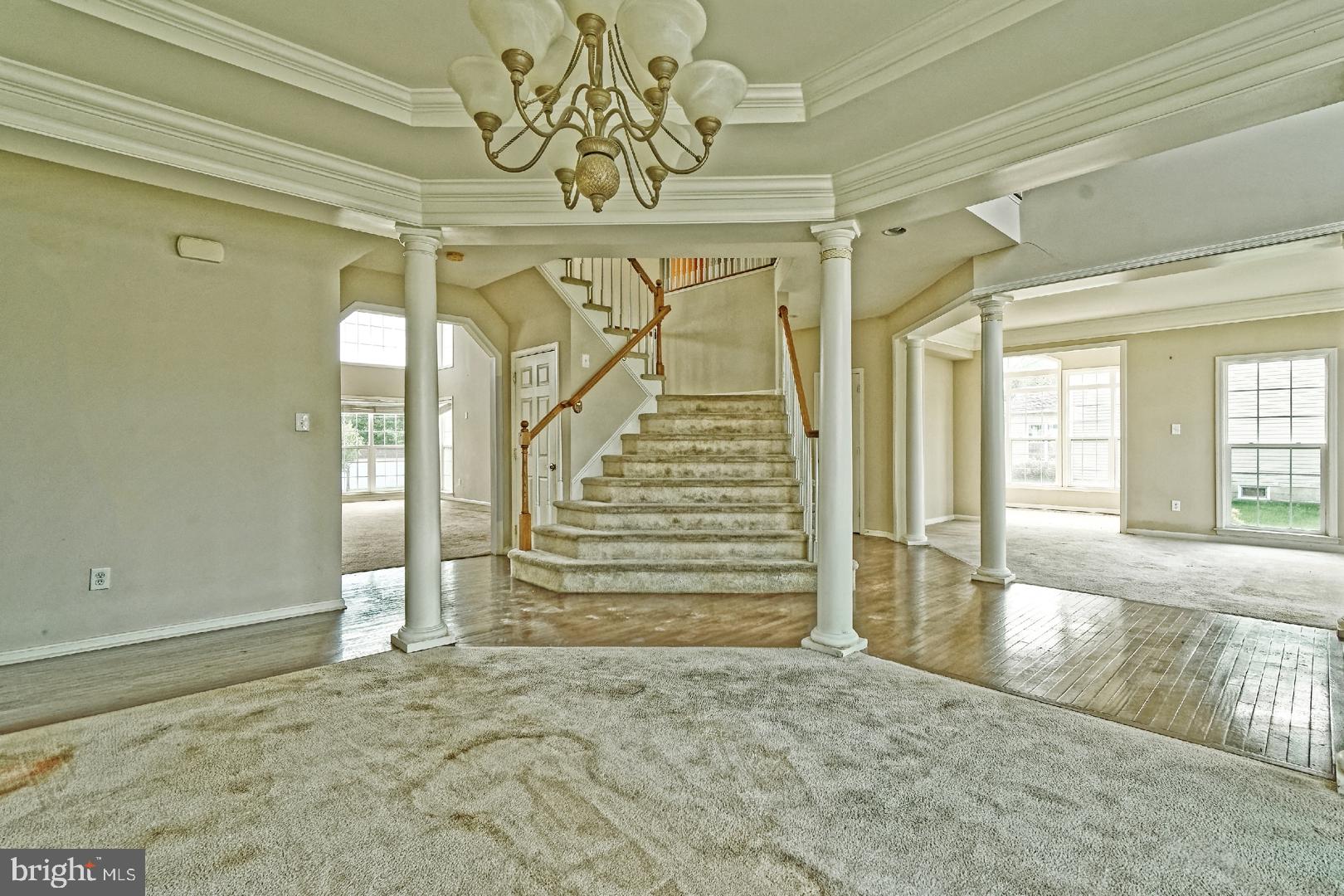 7 DUDLEY DRIVE