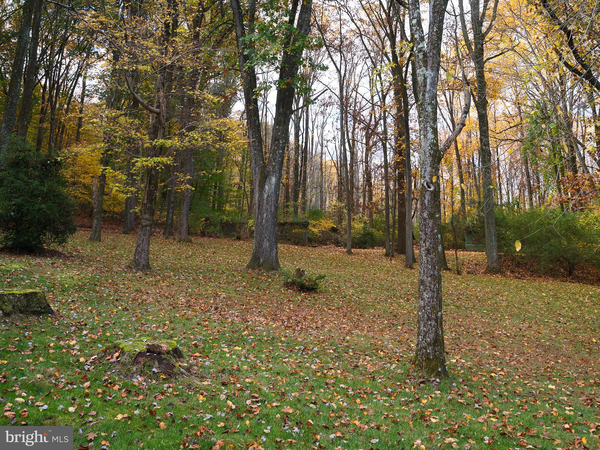 STONE MOUNT @ JERI - Residential