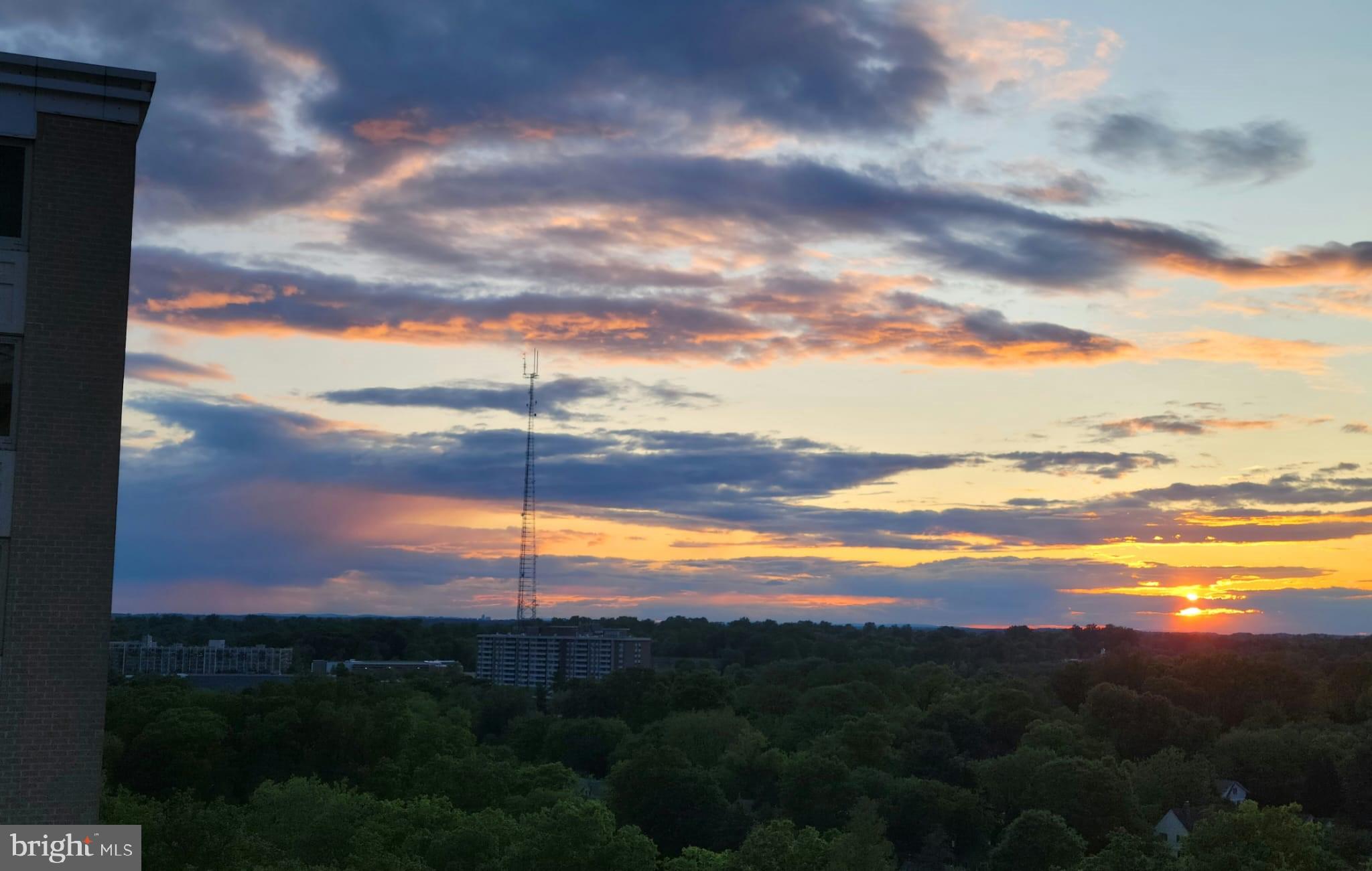 THE ELIZABETH - Residential