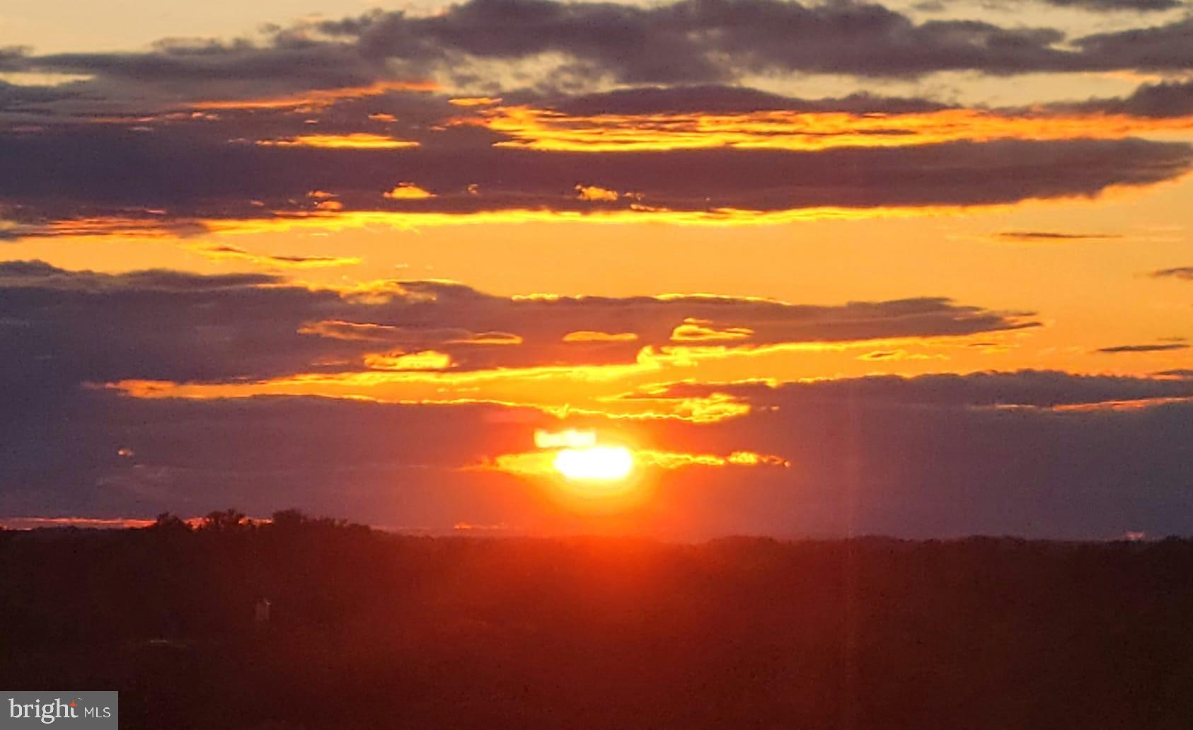 THE ELIZABETH - Residential