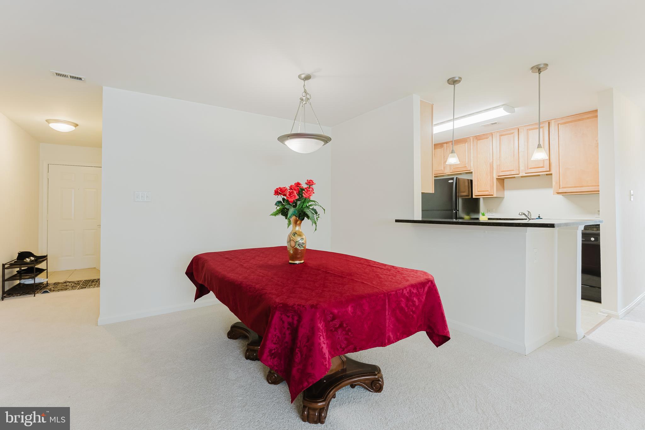 10300 APPALACHIAN CIRCLE 208