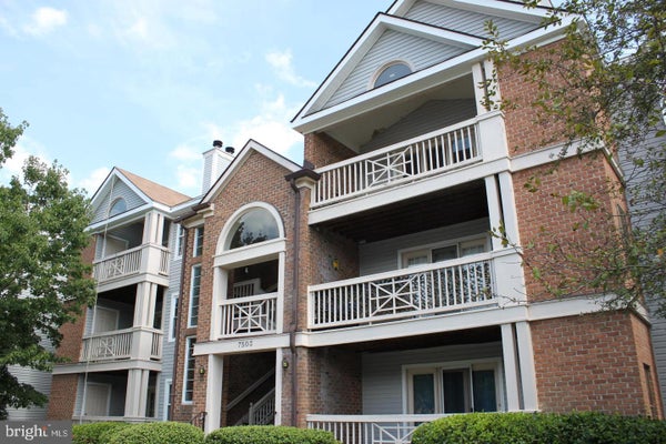 7503 ASHBY LN, ALEXANDRIA, VA 22315 - Image 9fe72f18bebc50bc7e082e42eb0ef4e4/341434754