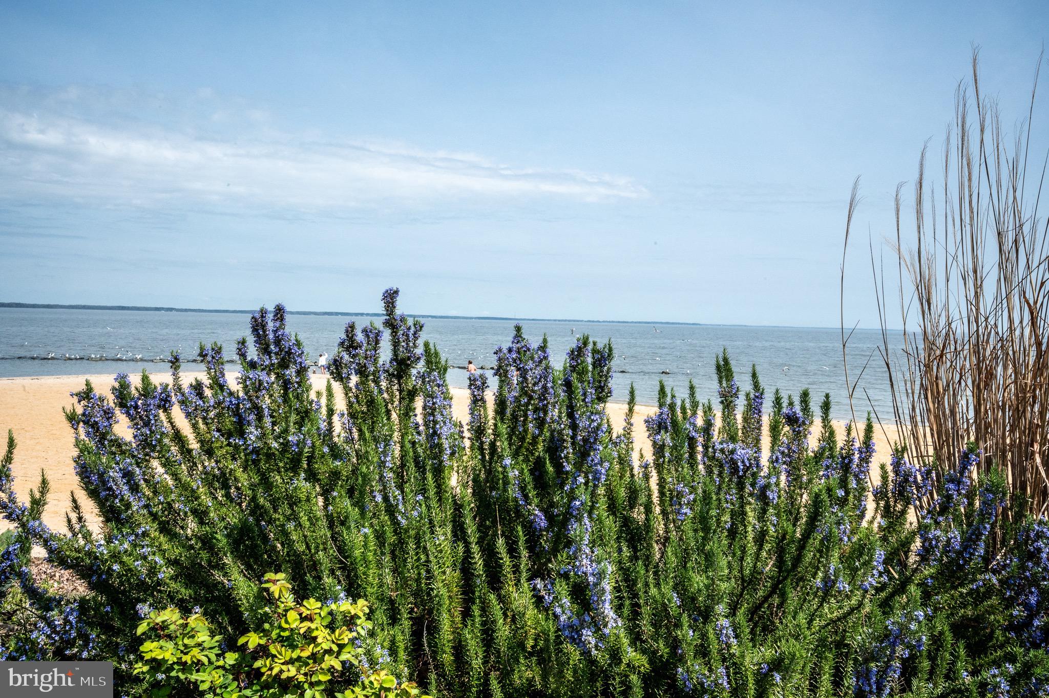 PLACID BAY ESTATES - Residential