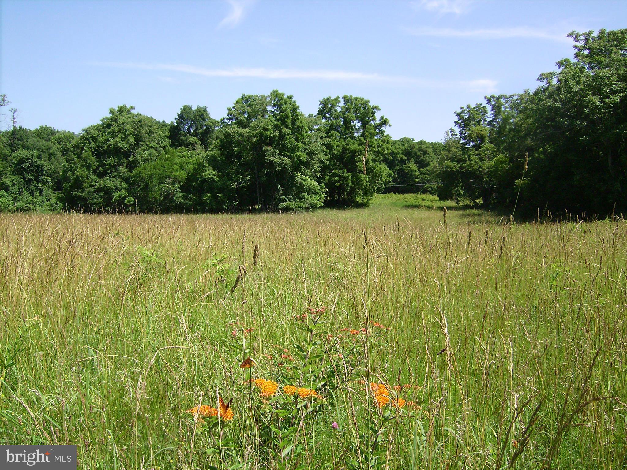 NONE AVAILABLE - Land