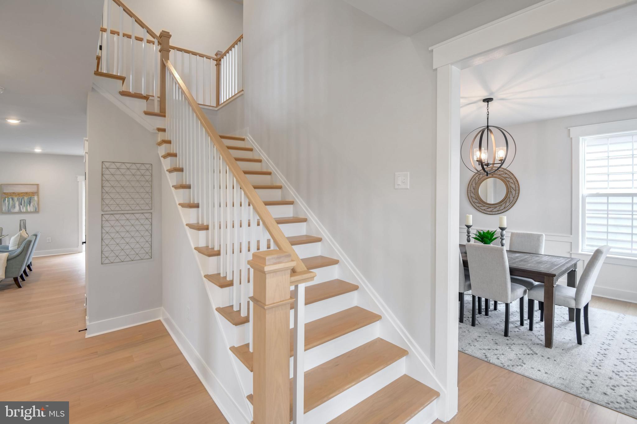 ELIANA COURT - POTOMAC MODEL