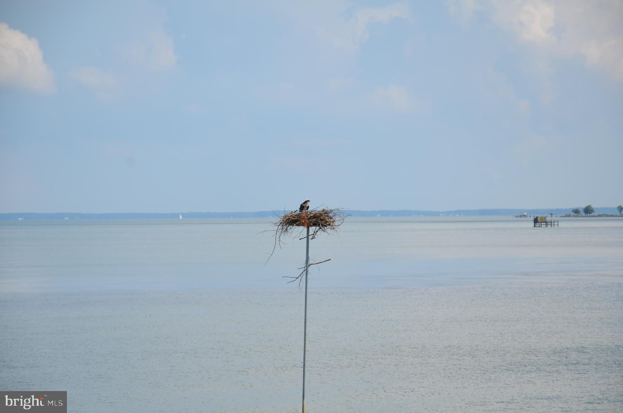 TILGHMAN ON CHESAPEAKE - Residential