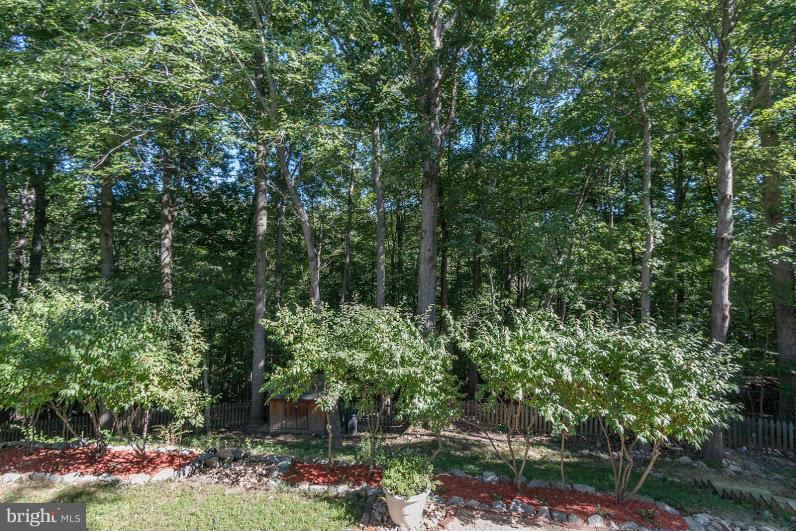 LAKE RIDGE - Residential Lease