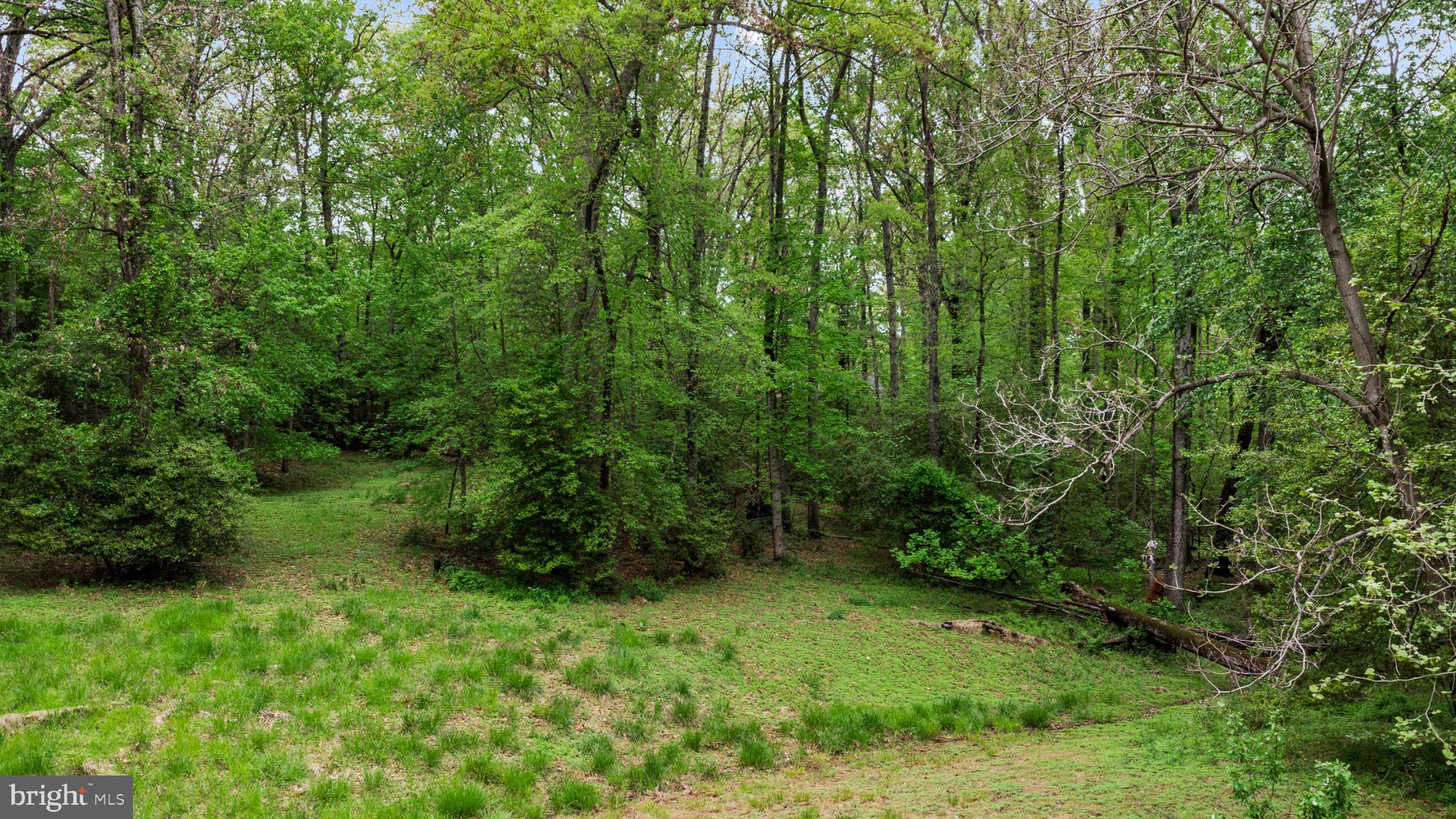 CONSTANCE COOPER - Residential