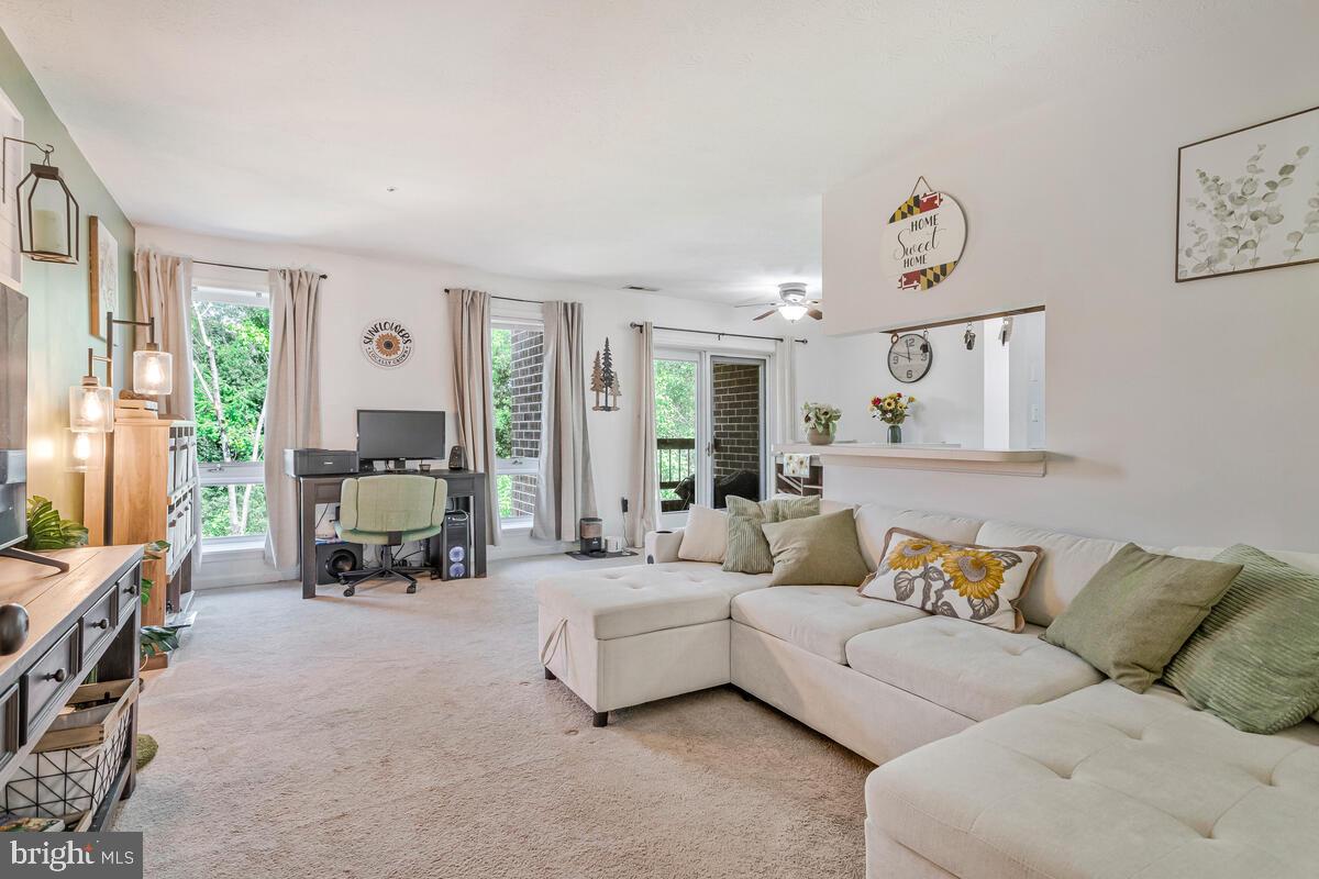 44790 LOCUST RIDGE COURT 11B