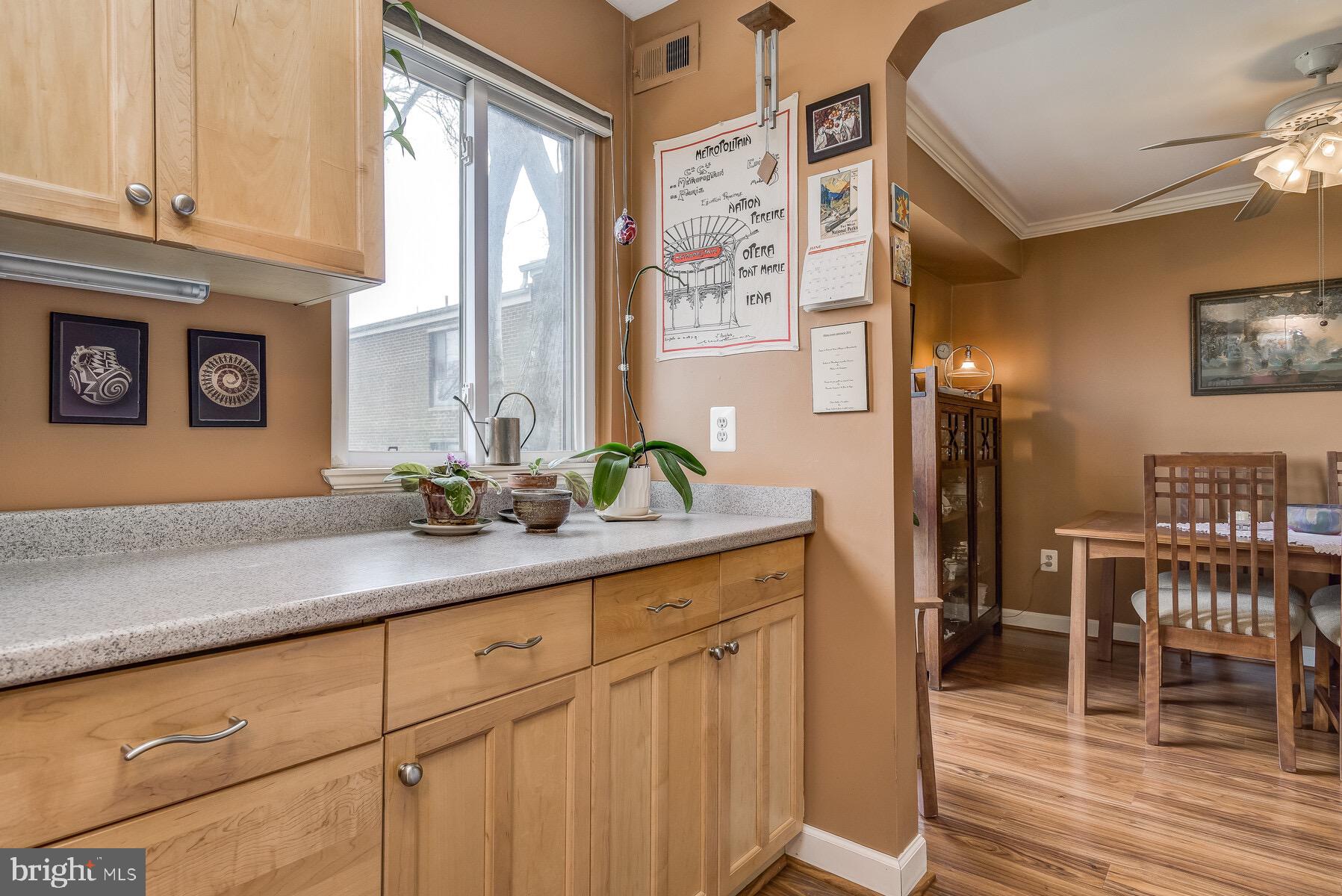 CAMELBACK - Residential