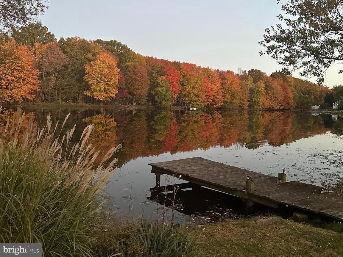 WEBSTER VILLAGE - Residential