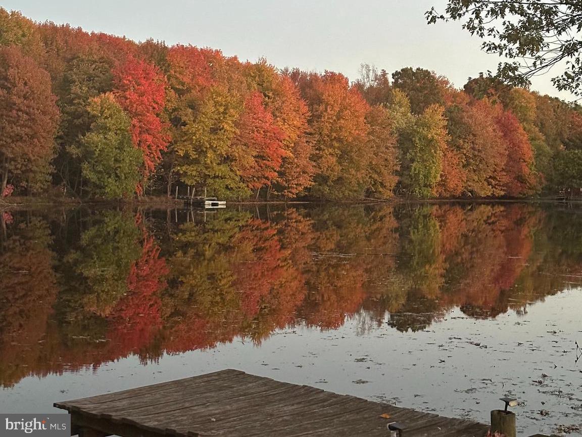 WEBSTER VILLAGE - Residential