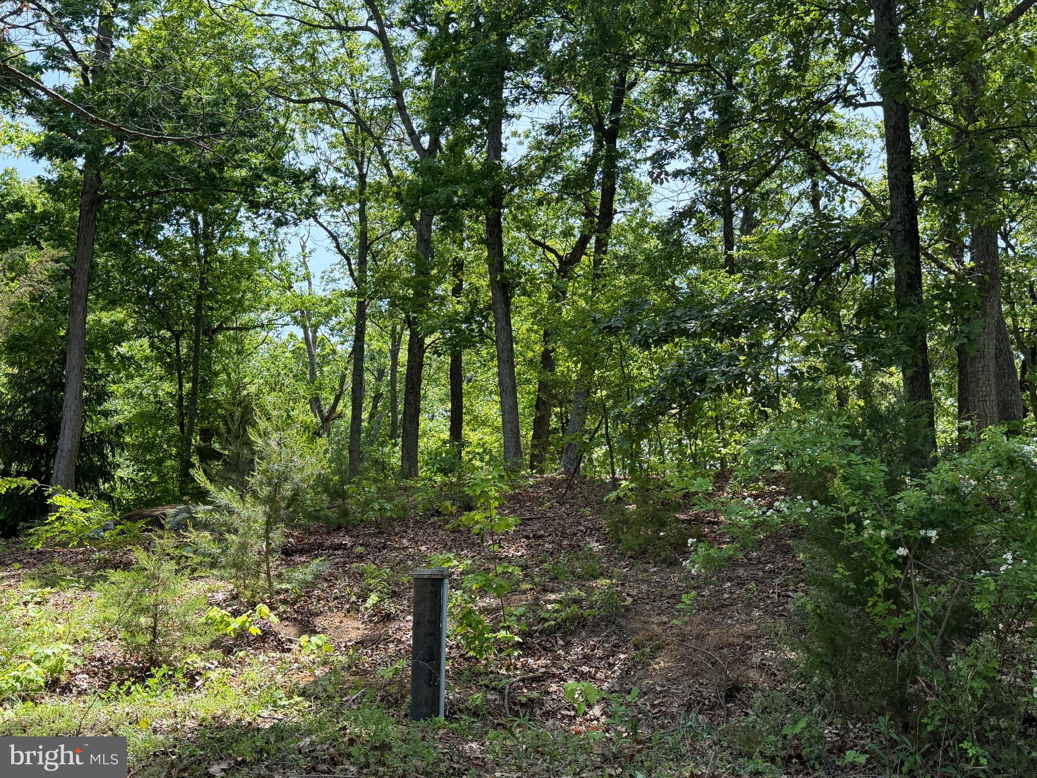 FLEMING PARK - Residential
