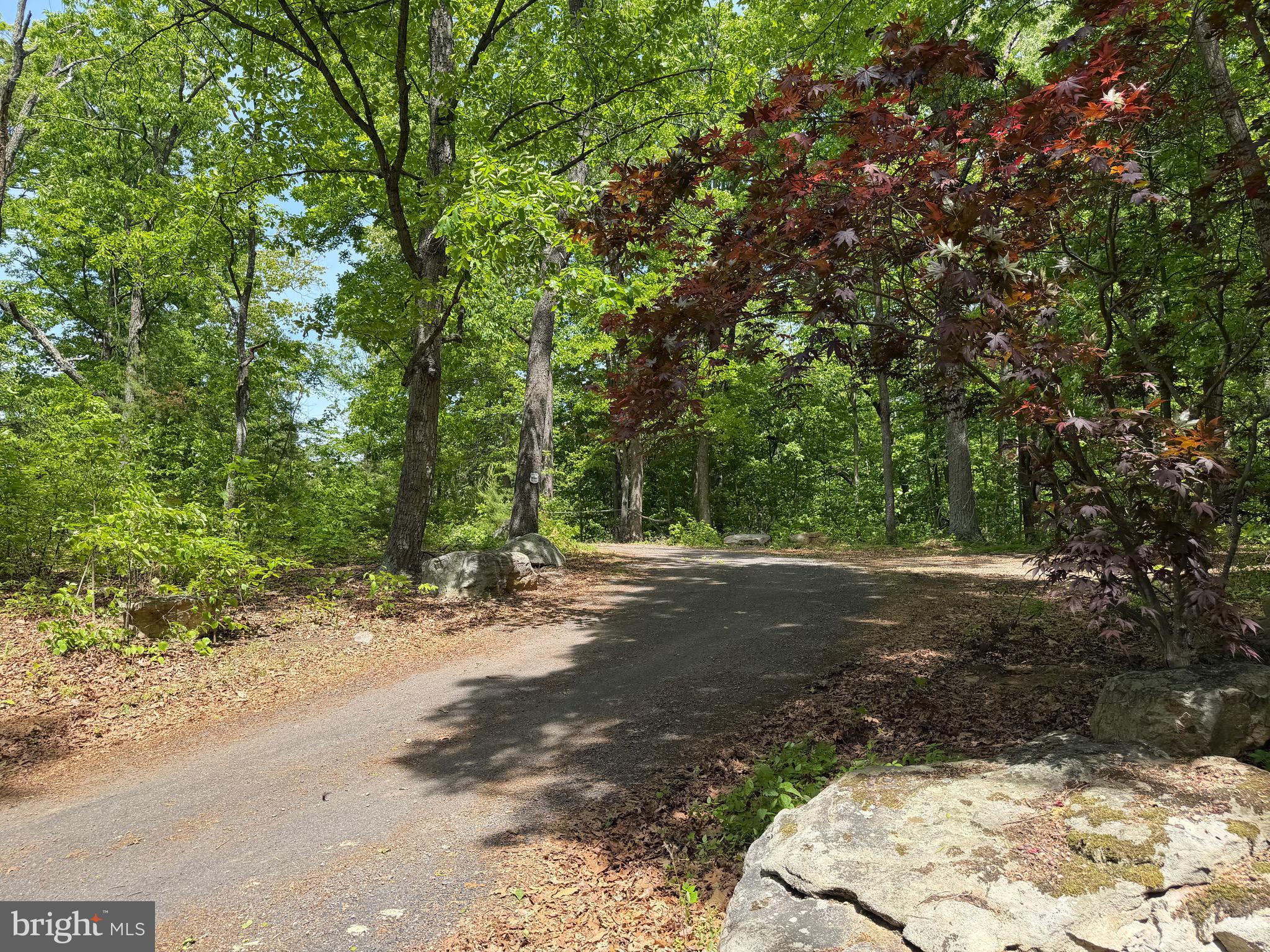 FLEMING PARK - Residential
