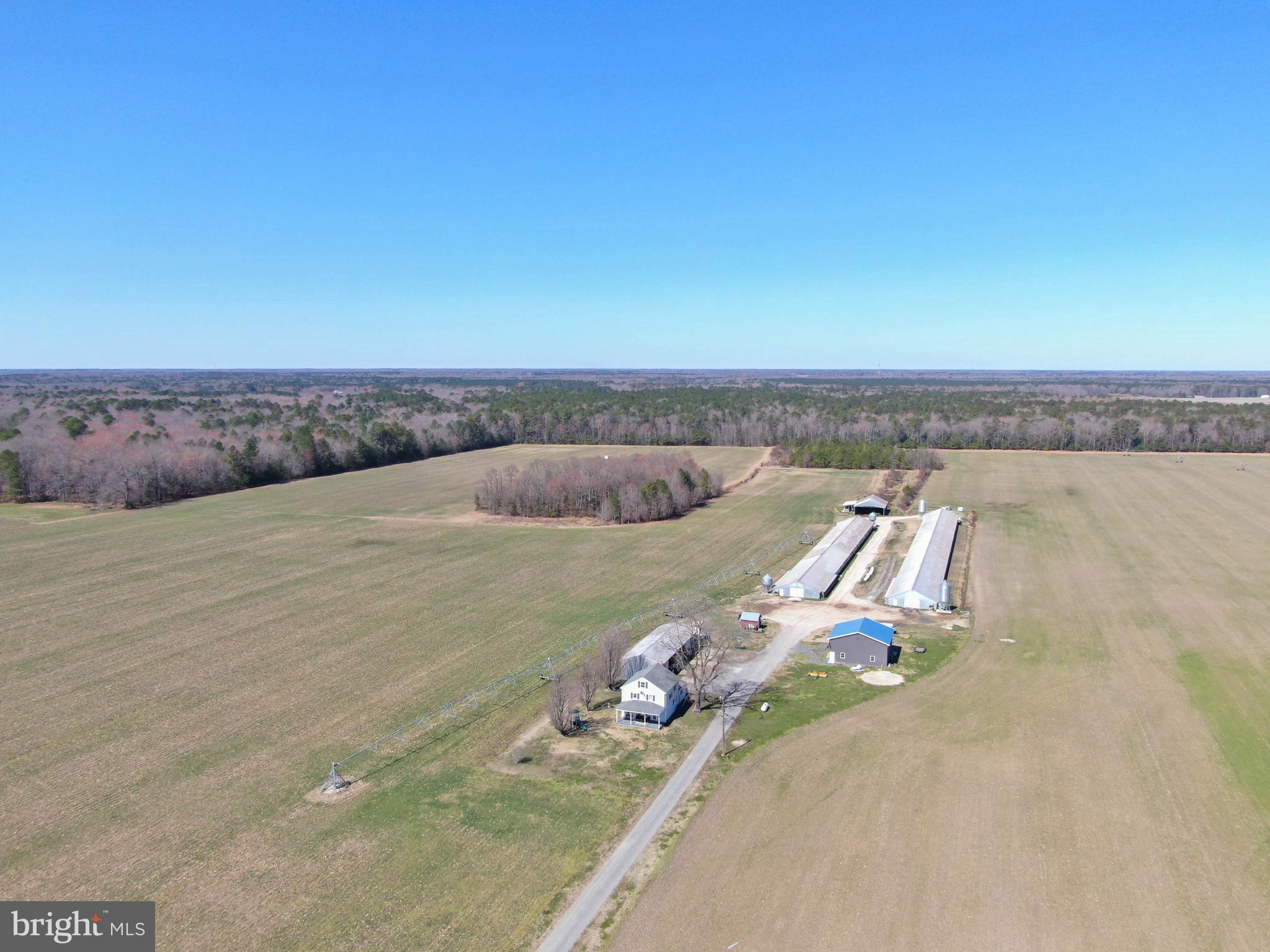 NONE AVAILABLE - Farm