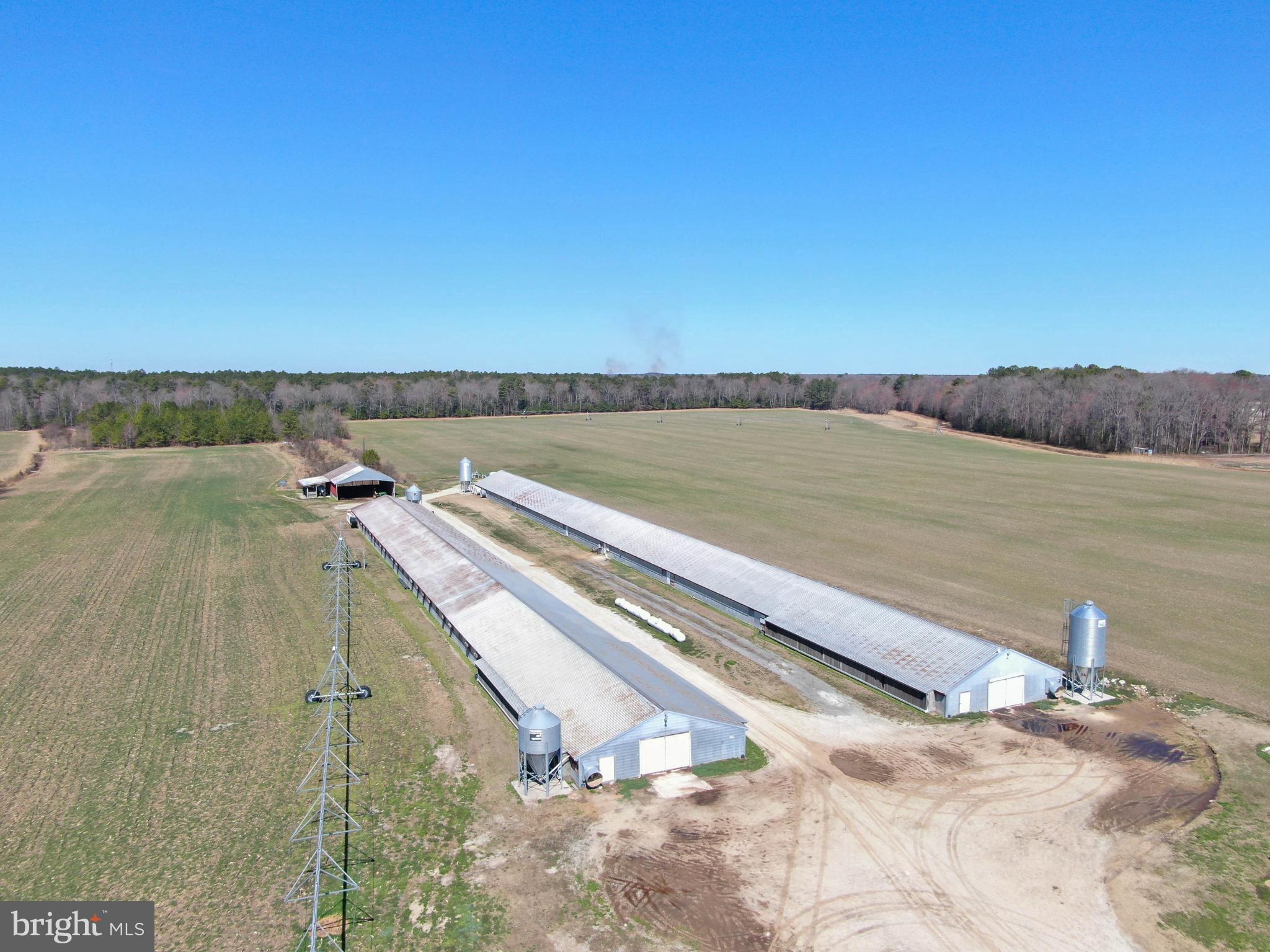 28268 BRIDGEVILLE ROAD