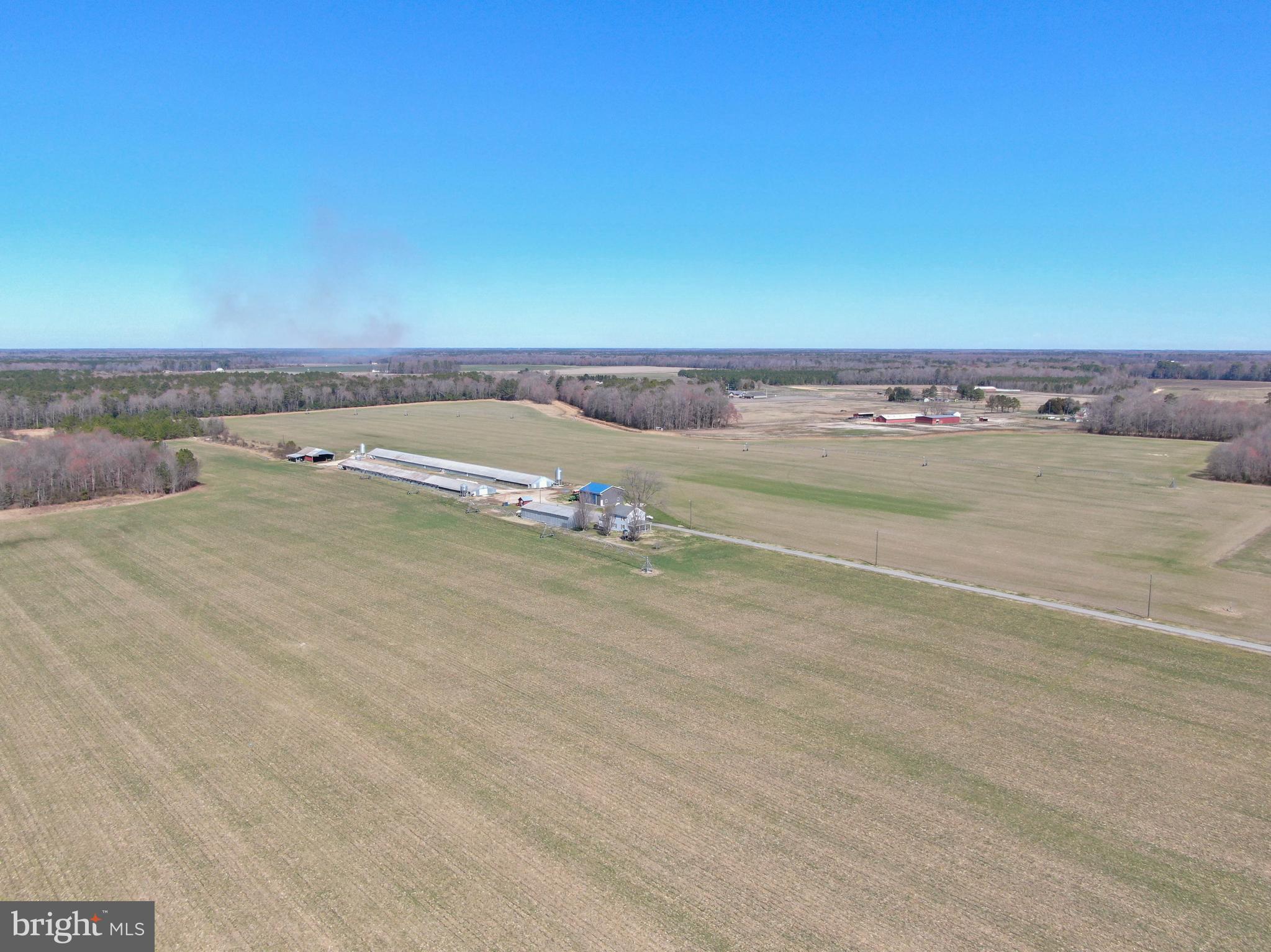 NONE AVAILABLE - Farm