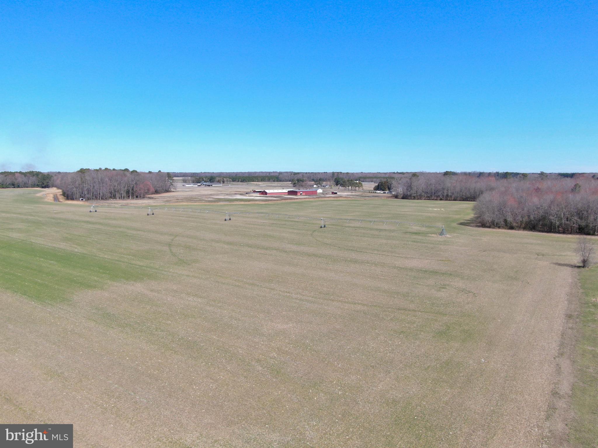 NONE AVAILABLE - Farm