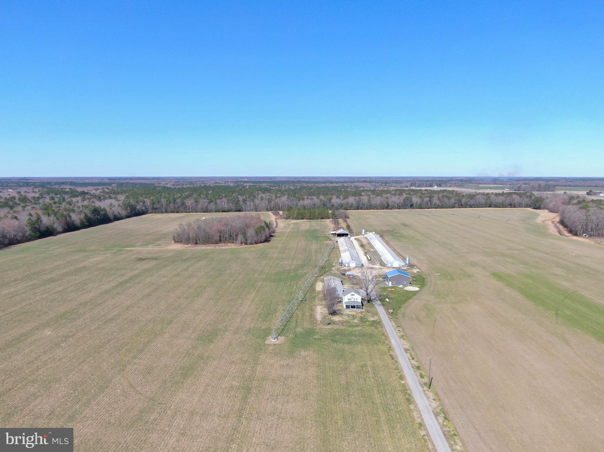 NONE AVAILABLE - Farm