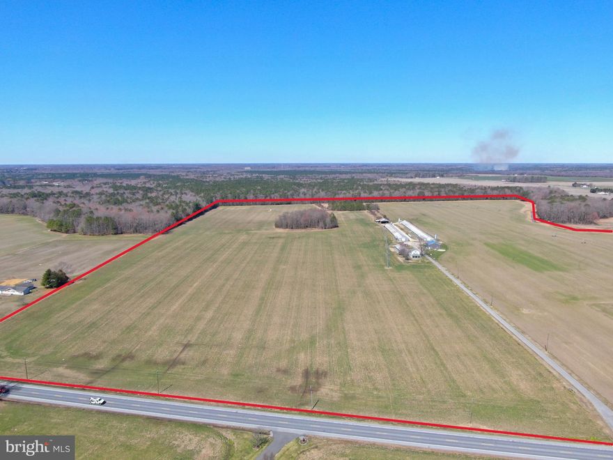 Premier Grain & Poultry Farm with Irrigated Farmland and Modernized Facilities

This highly productive grain and poultry farm presents an exceptional opportunity for agricultural investment. Encompassing approximately 120± tillable acres, with 90% under irrigation, the property supports high-yield crop production. Farm is subject to MALPH conservation easement. Approximately 2 acres are subject to CREP. 

The poultry operation includes two well-maintained chicken houses—one 40'×450' and another 40'×500', originally built in 1979 and 1986. Current owners are top growers with Mountaire growing 9 week birds. These facilities have undergone key upgrades, featuring newer feed bins, cooling pads, fans, augers,  Choretime feeders, Rotem controllers, and new generator (300 hours) ensuring efficiency and optimal conditions for poultry management.  Per Mountaire specs, drinker lines will need to be replaced in the near future.

Complementing the operation is a newly constructed shop building, offering ample space for equipment storage and maintenance. The 1,888 sq. ft. renovated farmhouse provides modern living accommodations, making this a turnkey opportunity for owner-operators or investors seeking a well-equipped and operational farm.

This property is an ideal blend of productive cropland, updated poultry infrastructure, and quality living space. Contact us today for more details or to schedule a private tour. DO NOT ENTER PROPERTY WITHOUT PERMISSION OF THE LAND GROUP.