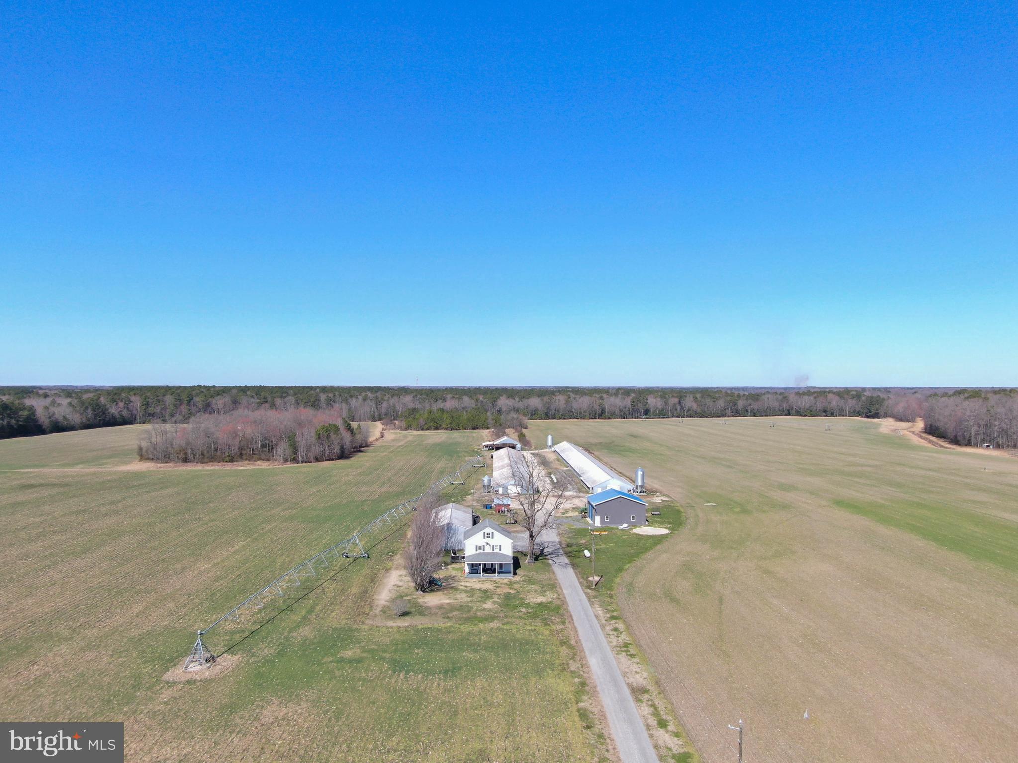 28268 BRIDGEVILLE ROAD