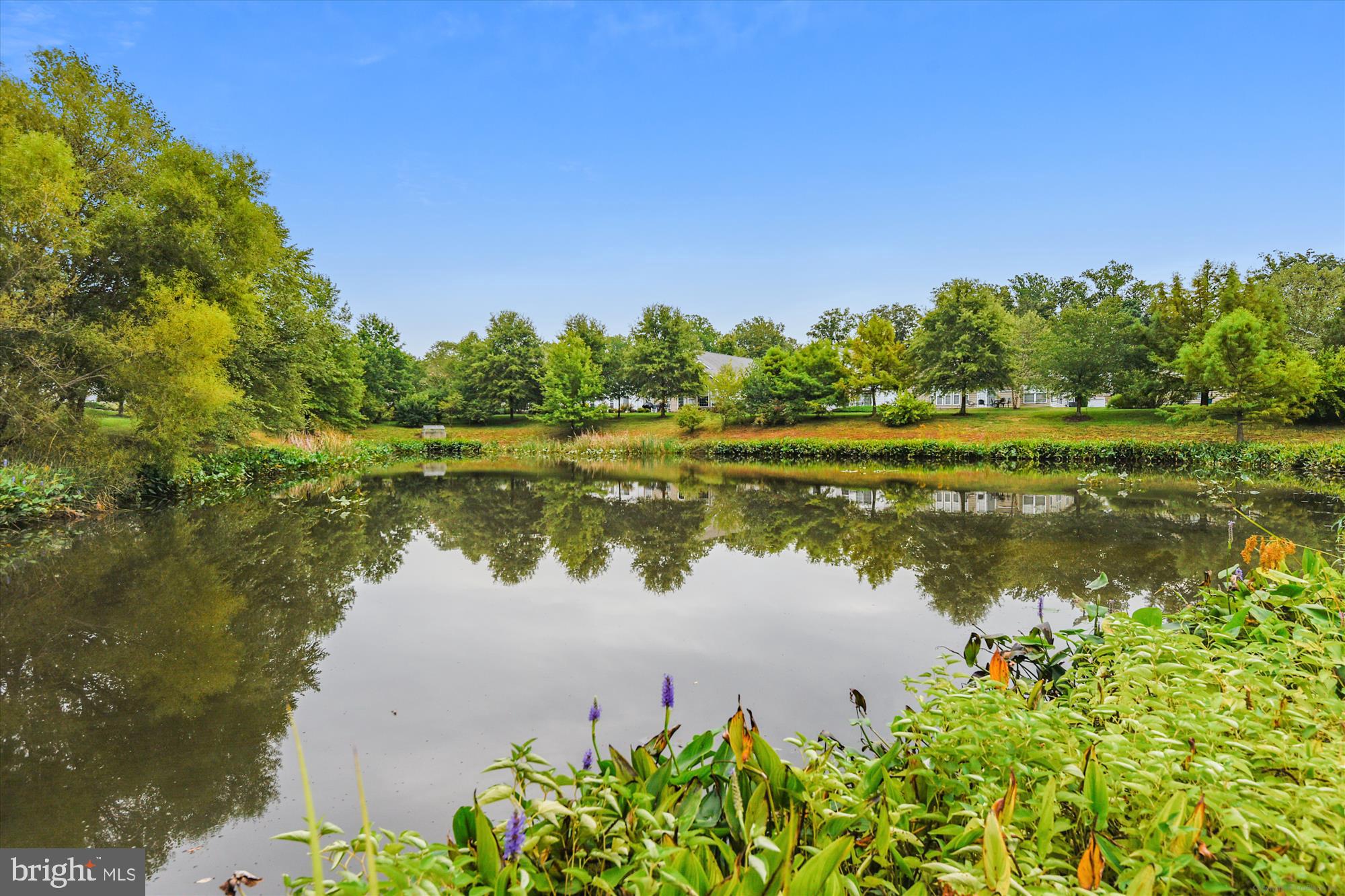 SYMPHONY VILLAGE AT CENTREVILLE - Residential