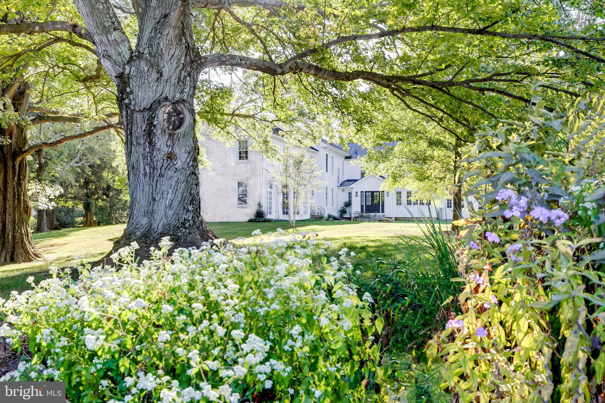 WORTHINGTON VALLEY - Farm