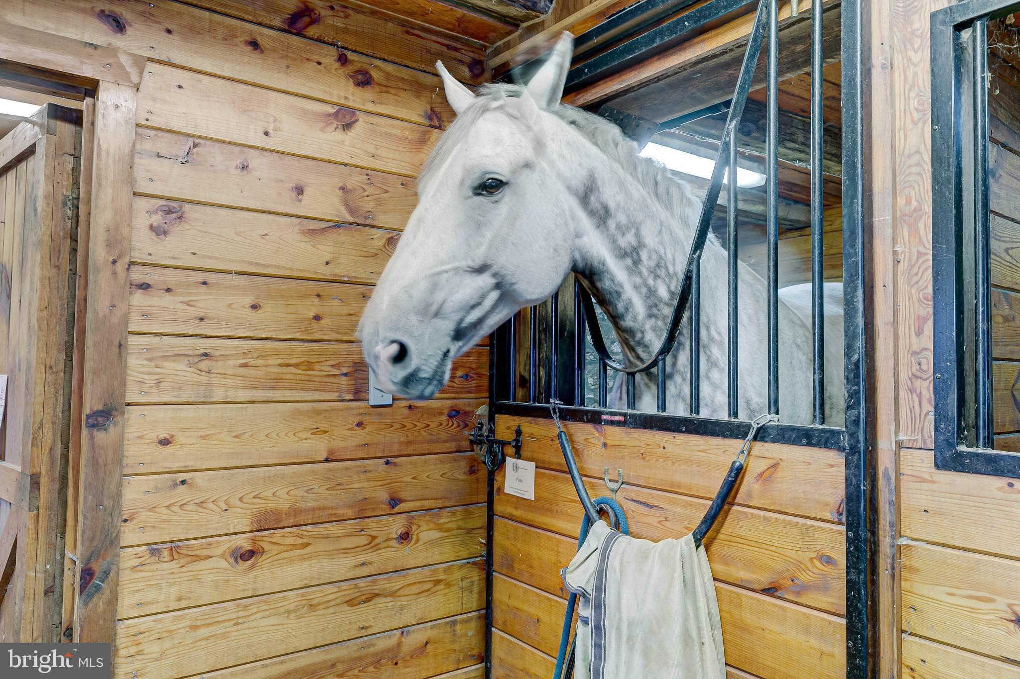 WORTHINGTON VALLEY - Farm