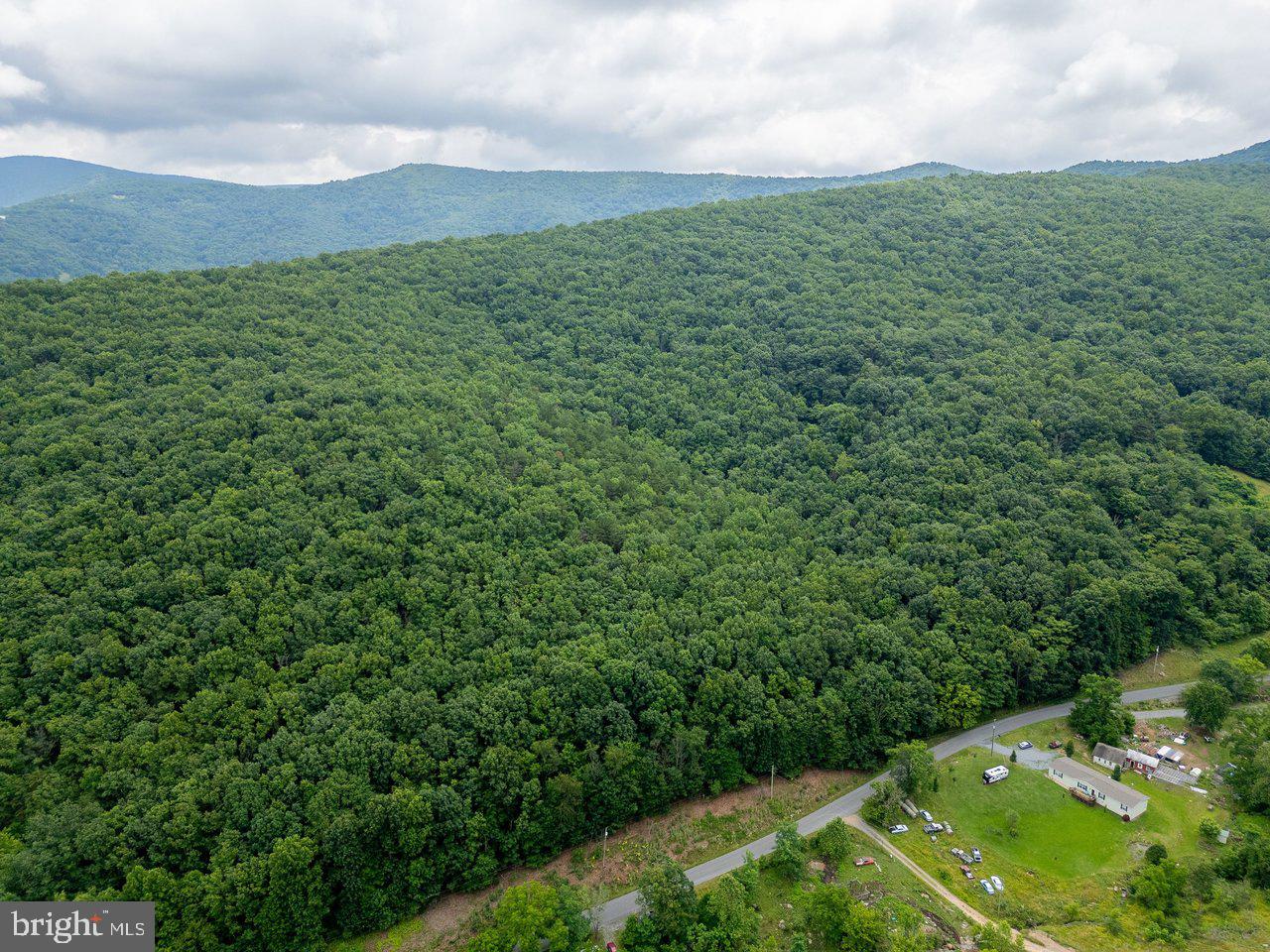 CUBBAGE HOLLOW RD, LOT 75 - 40.55 ACRES